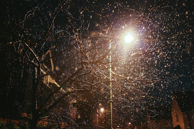 Cómo organizar una posada infantil paso a paso