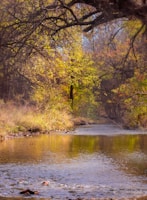 Oak Creek Canyon’s vibrant autumn colors reflecting in clear flowing water.