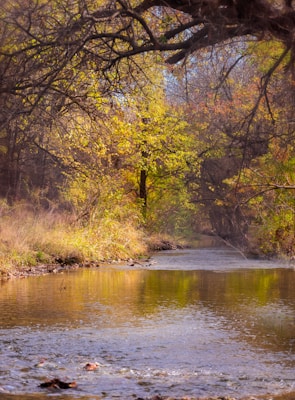 Oak Creek Canyon’s vibrant autumn colors reflecting in clear flowing water.