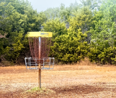 A disc golf basket stands prominently on a dry, grassy field with dense green trees in the background. The basket is metal with chains hanging inside to catch discs, and it is marked with a yellow band at the top indicating the hole number.