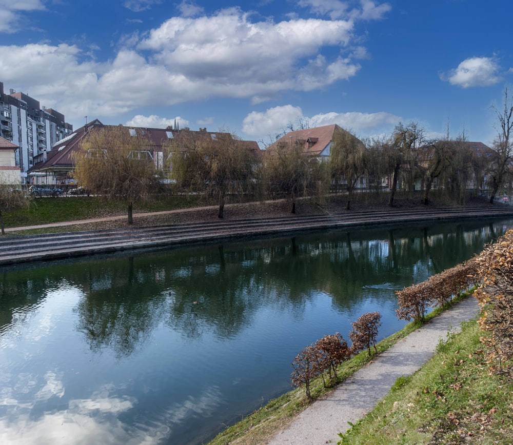 brown trees beside river under blue sky during daytime