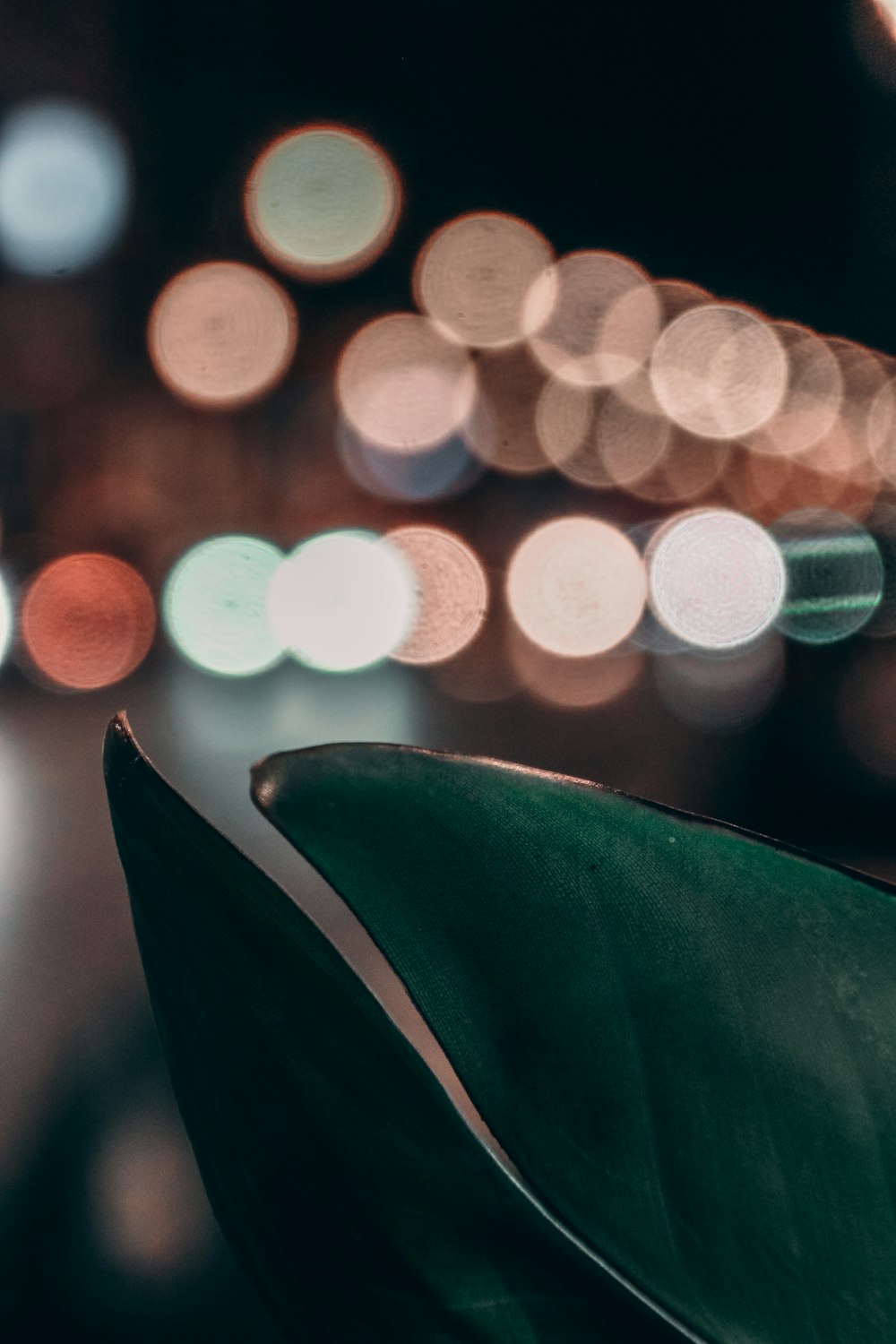 green leaf in bokeh photography