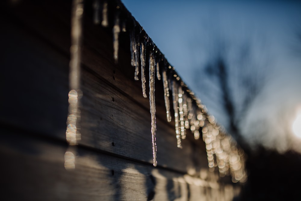 brown wooden fence during daytime