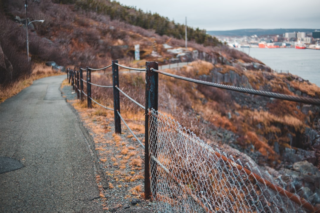 gray concrete road with brown wooden fence during daytime