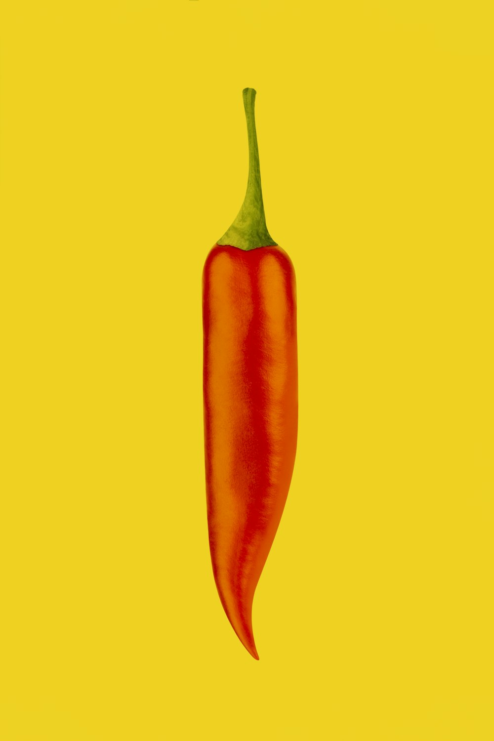 rotes Chili auf gelbem Hintergrund