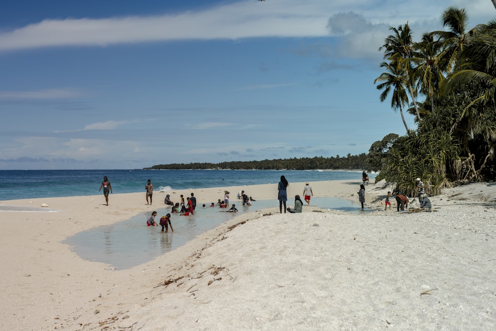 pessoas na praia durante o dia