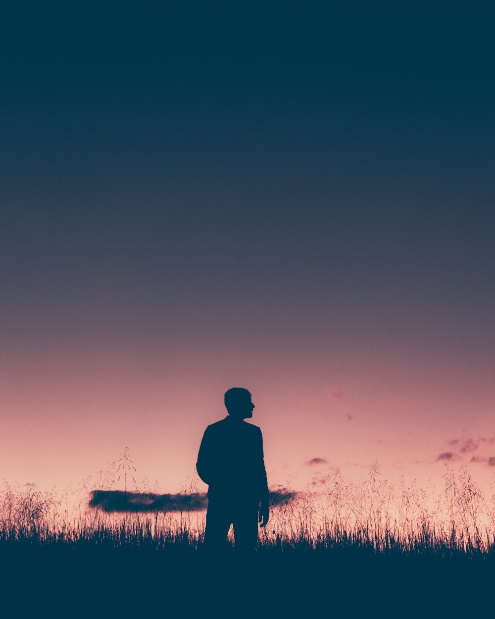 Silueta del hombre de pie en el campo de hierba durante la puesta del sol