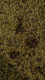 A densely packed surface of coriander seeds interspersed with star anise and other whole spices. The texture is rough and grainy, with the star anise providing a distinct star shape that contrasts with the spherical seeds.