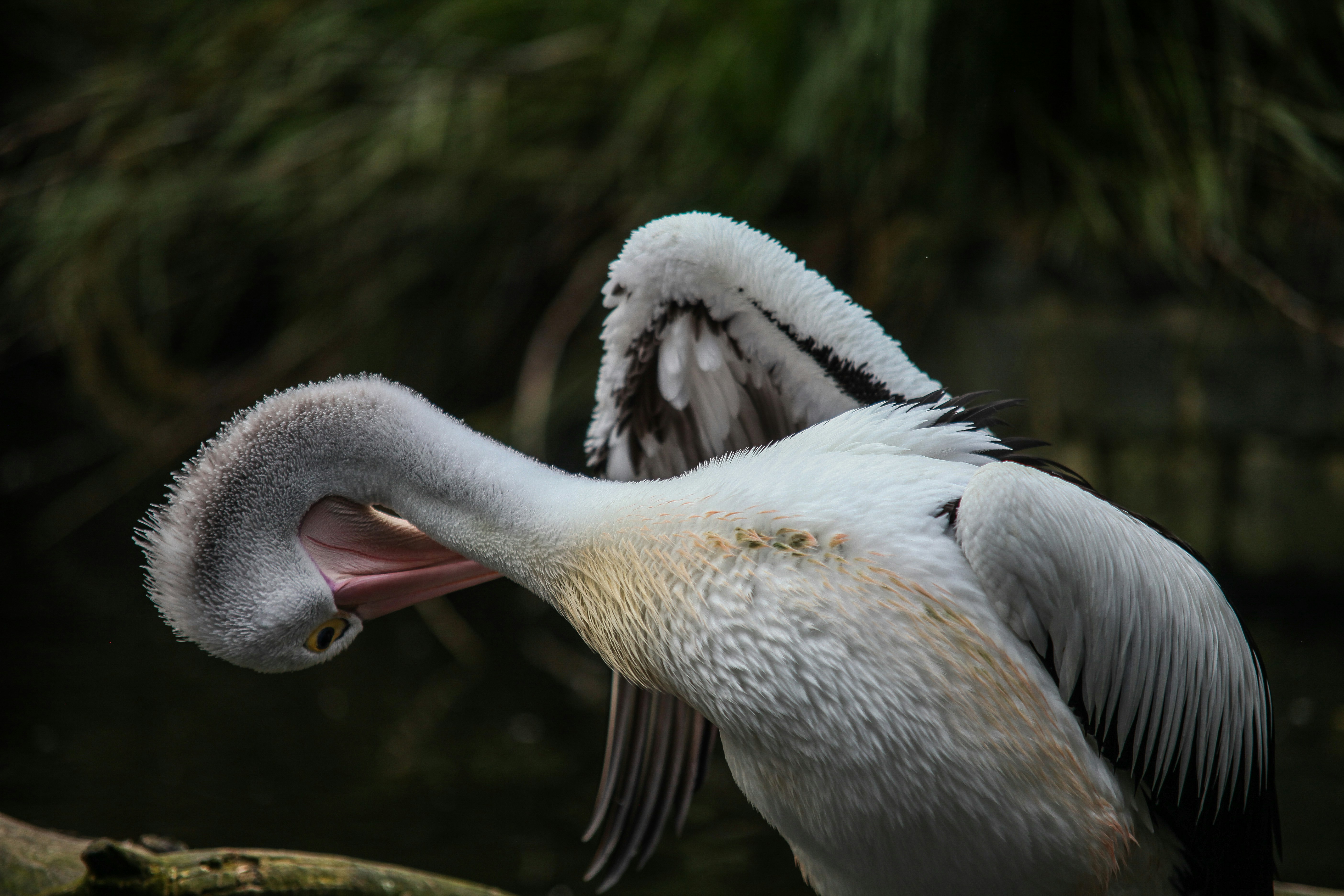 Photo by patricktravelist