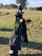 A golf bag stands upright on a grassy field, containing several golf clubs. The golf bag is predominantly black with green accents and features a patch with the number 51. Trees and a partly cloudy sky are visible in the background.