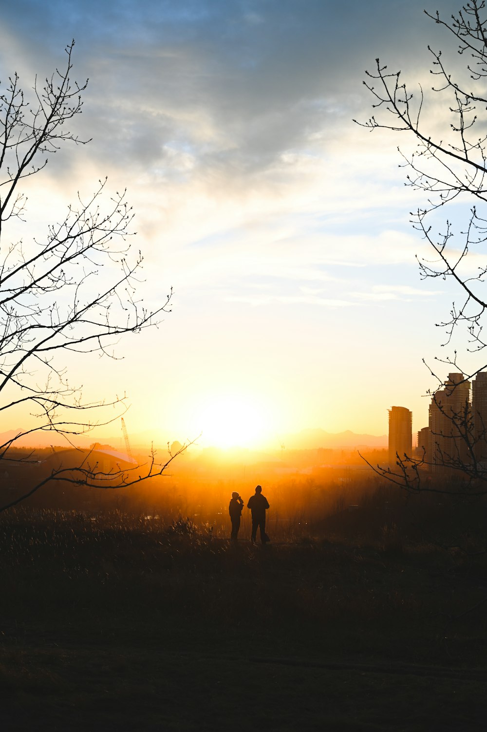 silhouette of man standing on grass field during sunset