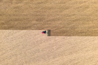 green and black truck on brown field