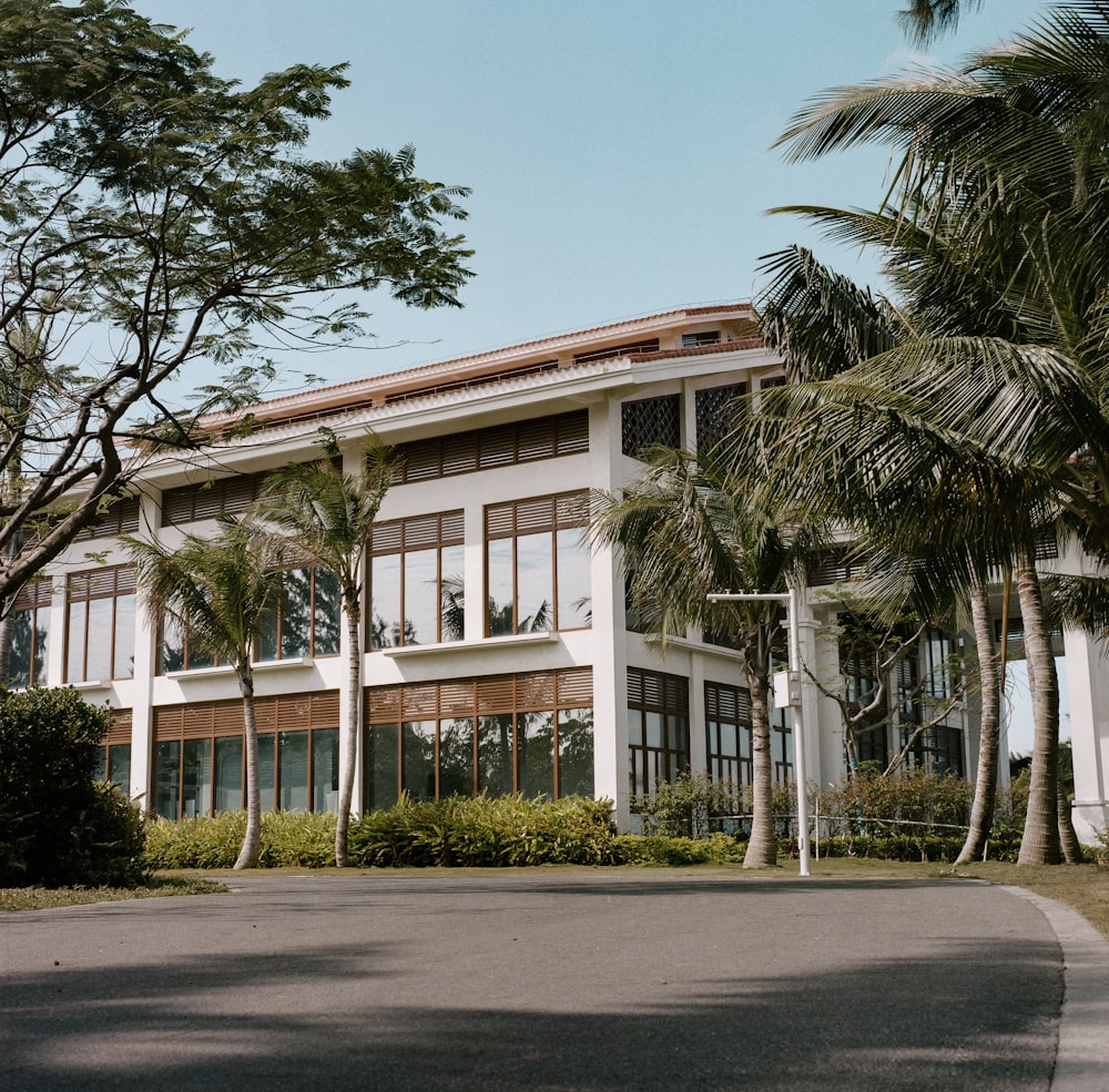 white concrete building near palm trees during daytime