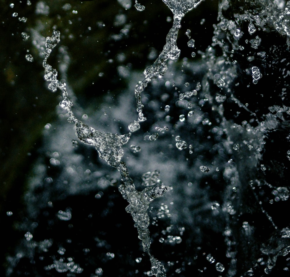 salpicaduras de agua en la fotografía de primer plano