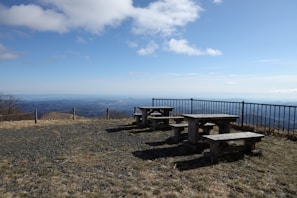 A scenic mountain view with a family picnic setup.