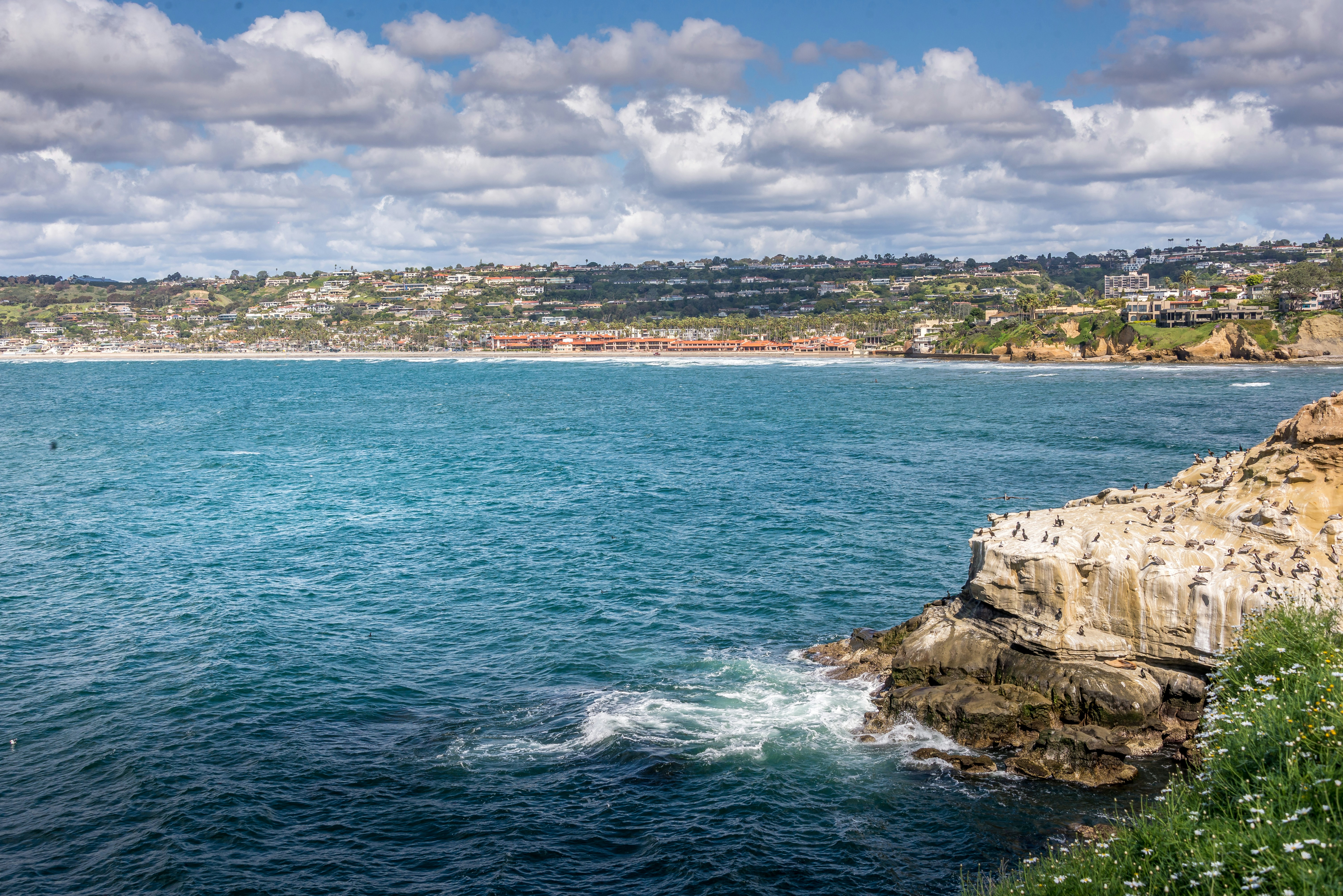 Photo by jiayichen0503