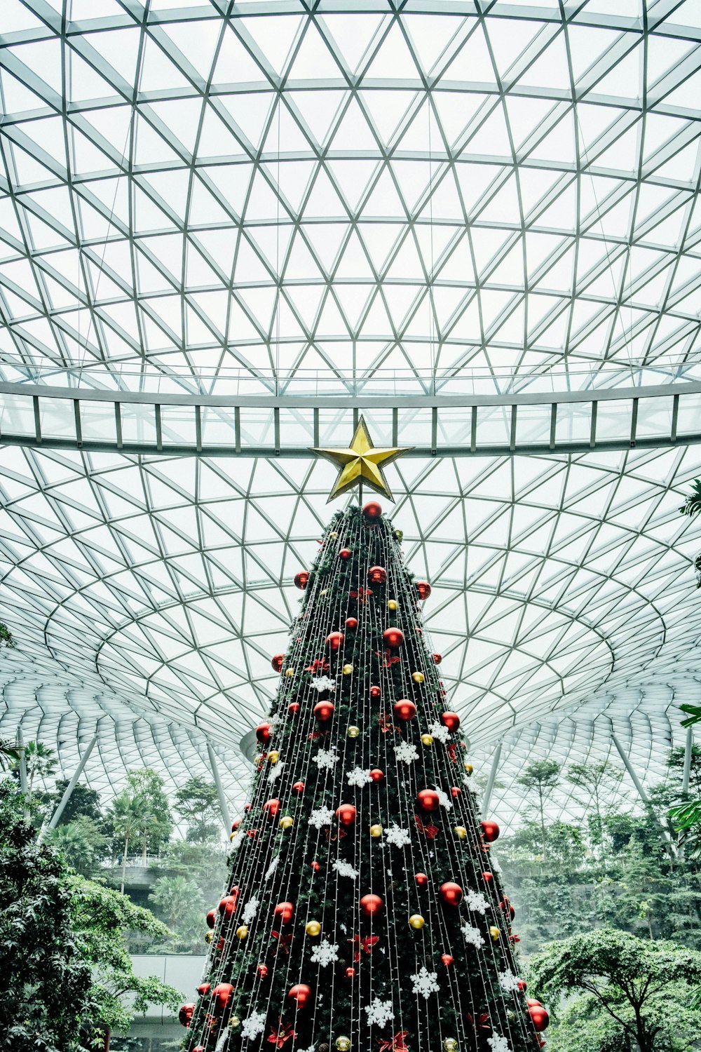 green christmas tree with red baubles