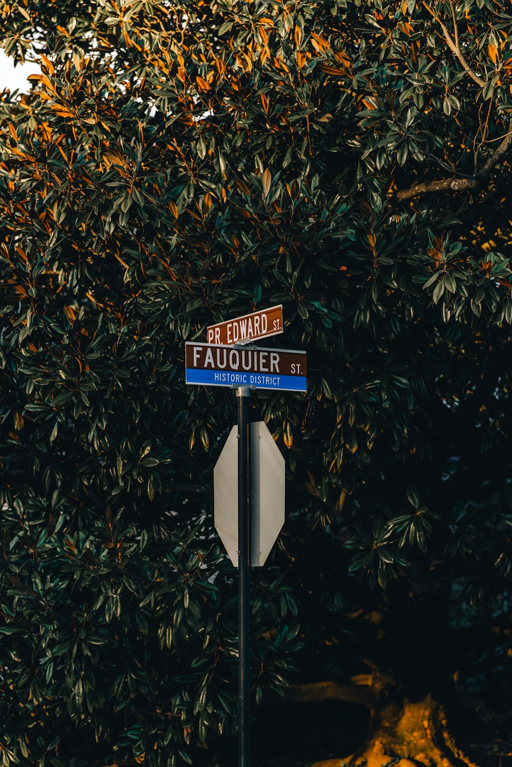 black and white street sign