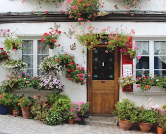 red and pink flowers on brown wooden door