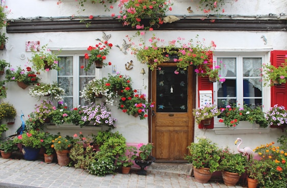 red and pink flowers on brown wooden door