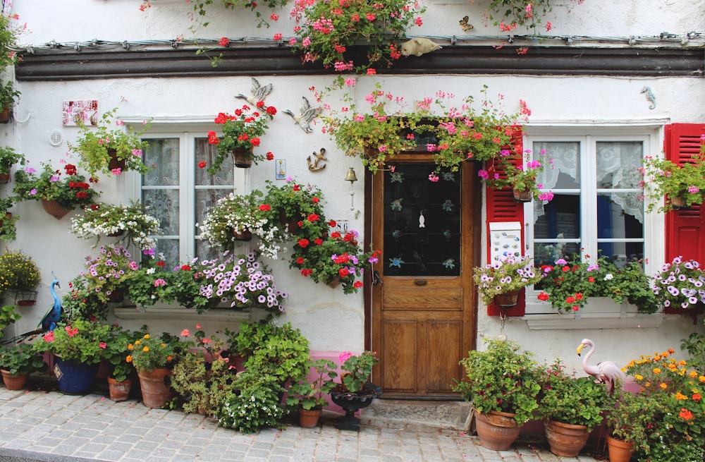 rote und rosa Blumen an brauner Holztür