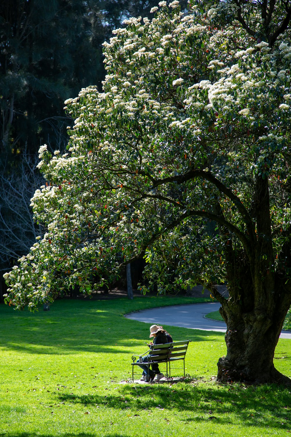 man in black shirt sitting on bench near green grass field during daytime