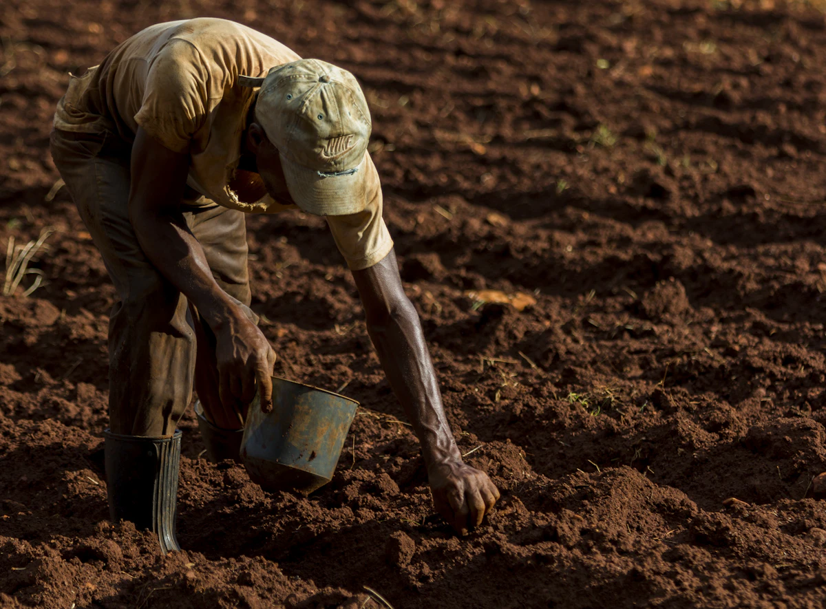Black African farmer using mobile technology for precision agriculture in Kenya