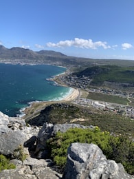 aerial view of green trees and blue sea during daytime
