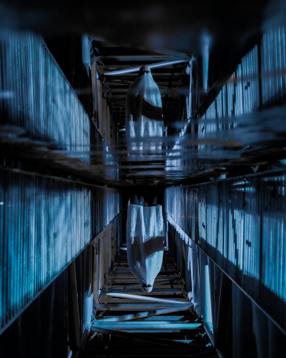 blue and white bridge over water