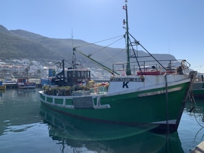 A fishing boat, marked 'ZAY-YAAN KB6', is docked in a calm harbor. It is painted in green and white and is loaded with fishing equipment, including colorful ropes and buoys. The background reveals a coastal village with multiple houses nestled along a hillside, and other boats are anchored nearby.