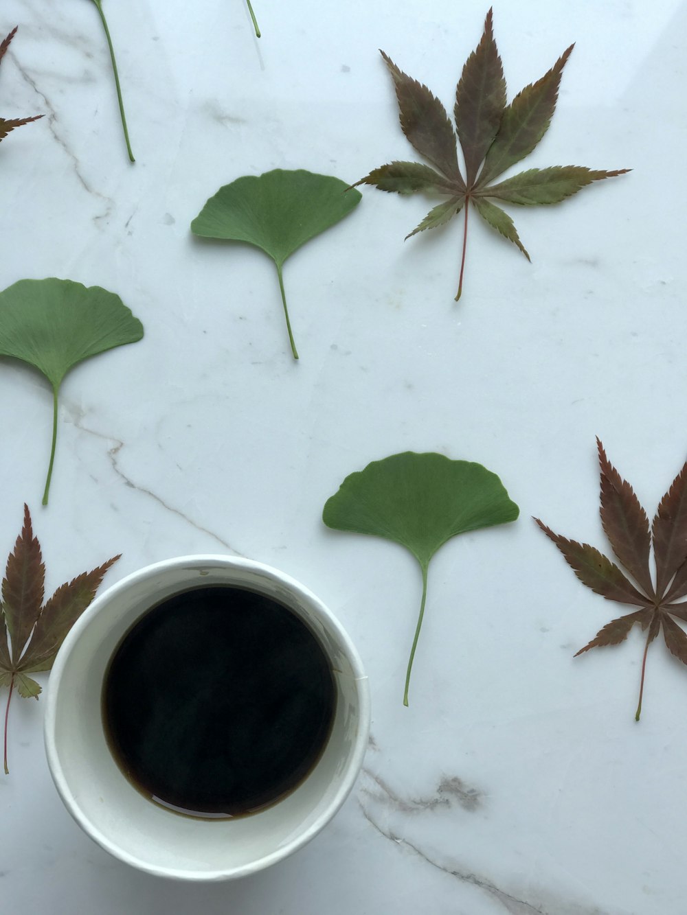 white ceramic mug with brown leaves