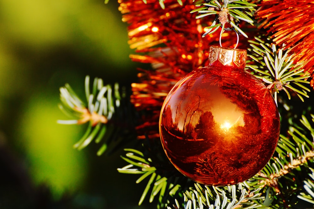 Adorno rojo en árbol de Navidad verde