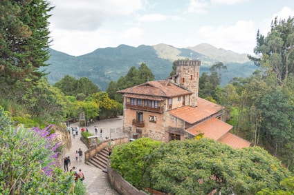 brown concrete houses near green trees and mountain during daytime