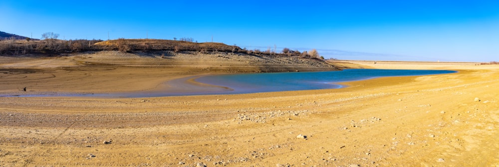 brown sand near body of water during daytime