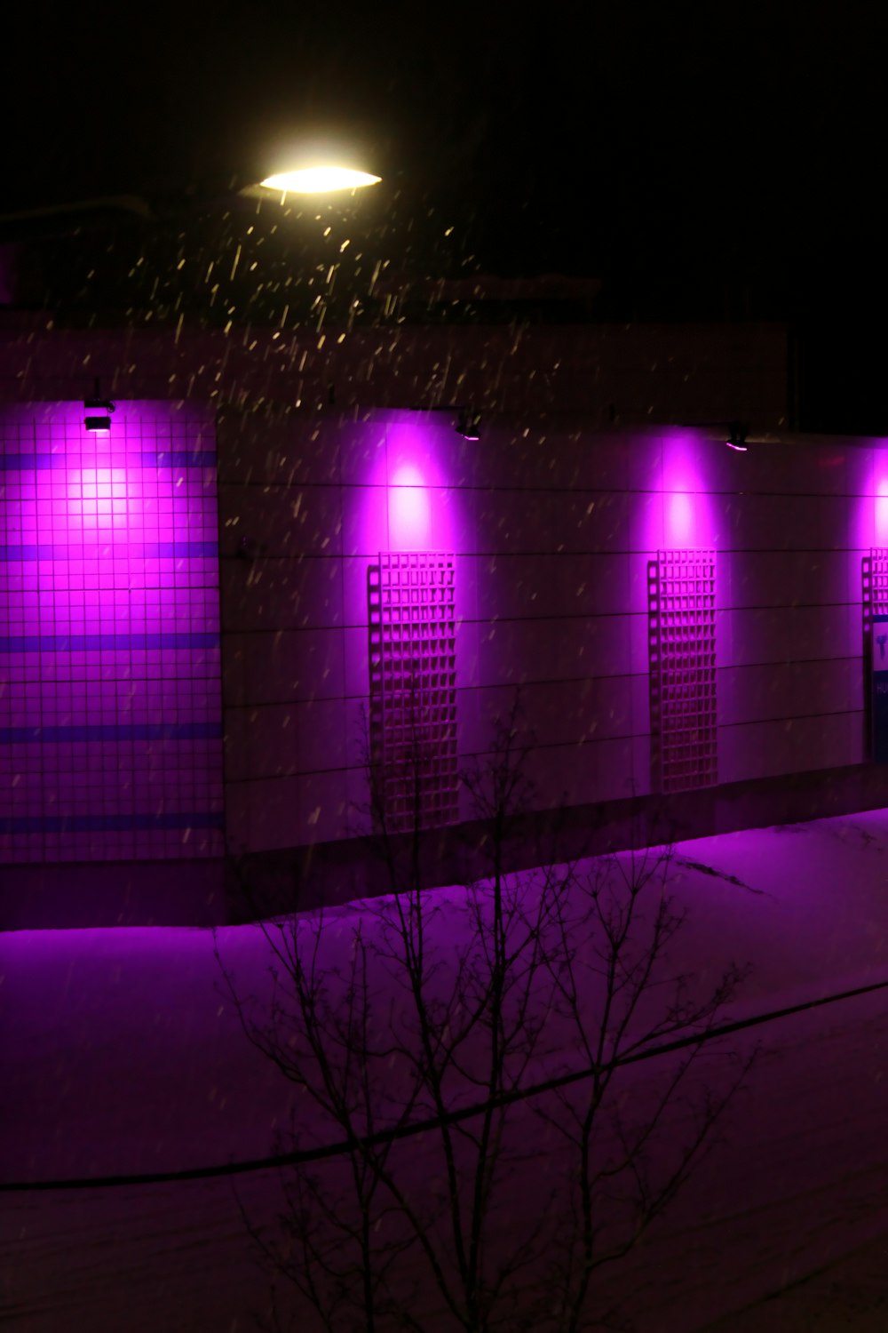 purple light on a dark room