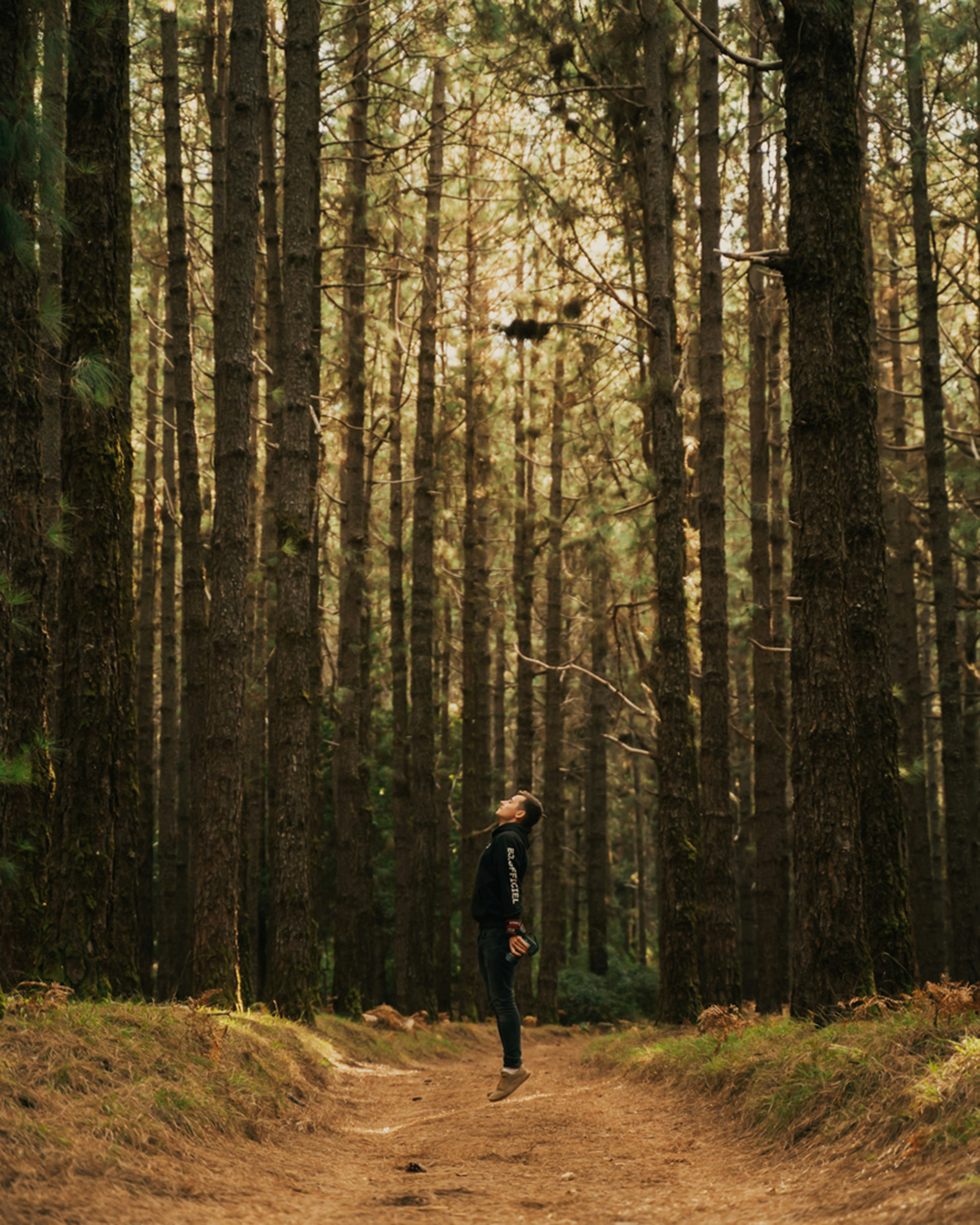 Photo by majesticlukas