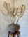 A large, textured clay pot sits on a wooden stool against a neutral-toned wall. Three dried palm leaves are arranged in the pot, creating a rustic and minimalist aesthetic.