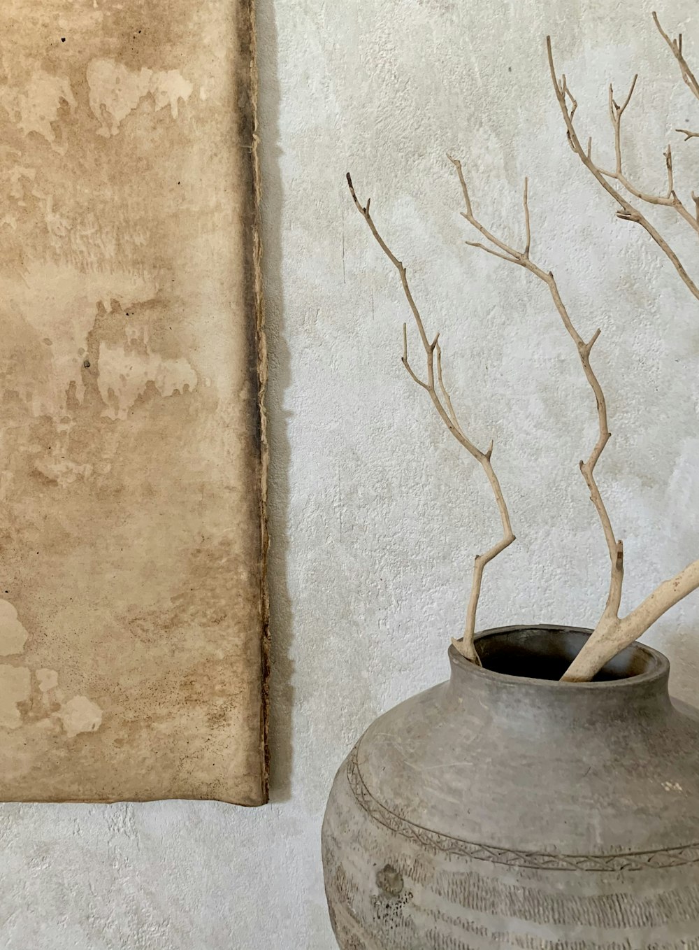 ramo d'albero marrone su vaso di cemento grigio