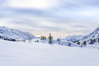 A serene tundra landscape with soft snow and gentle icy blue hues under a pale sky.