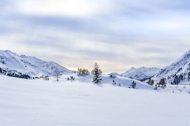 A serene tundra landscape with soft snow and gentle icy blue hues under a pale sky.