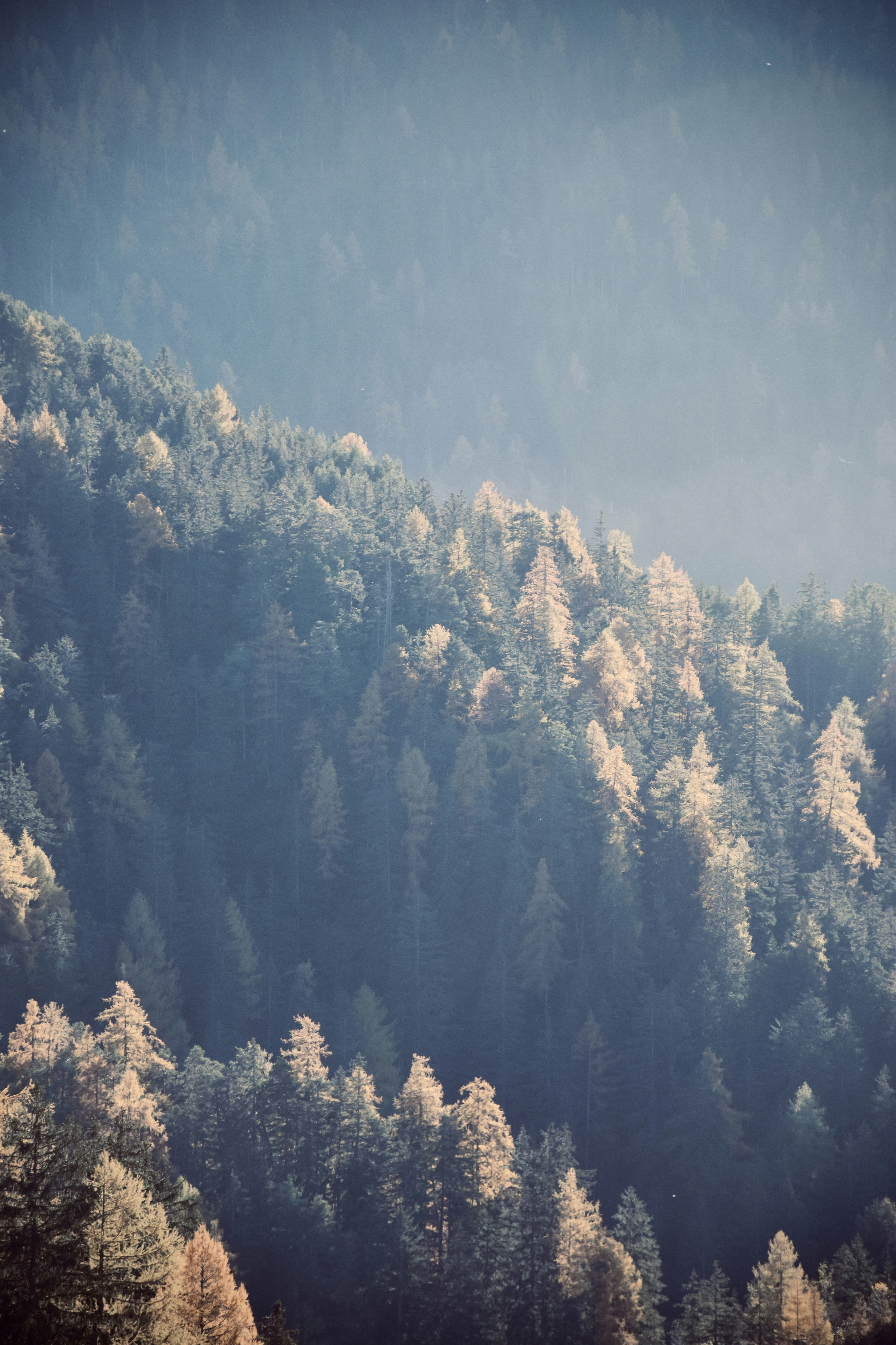 Photo by arnosenoner