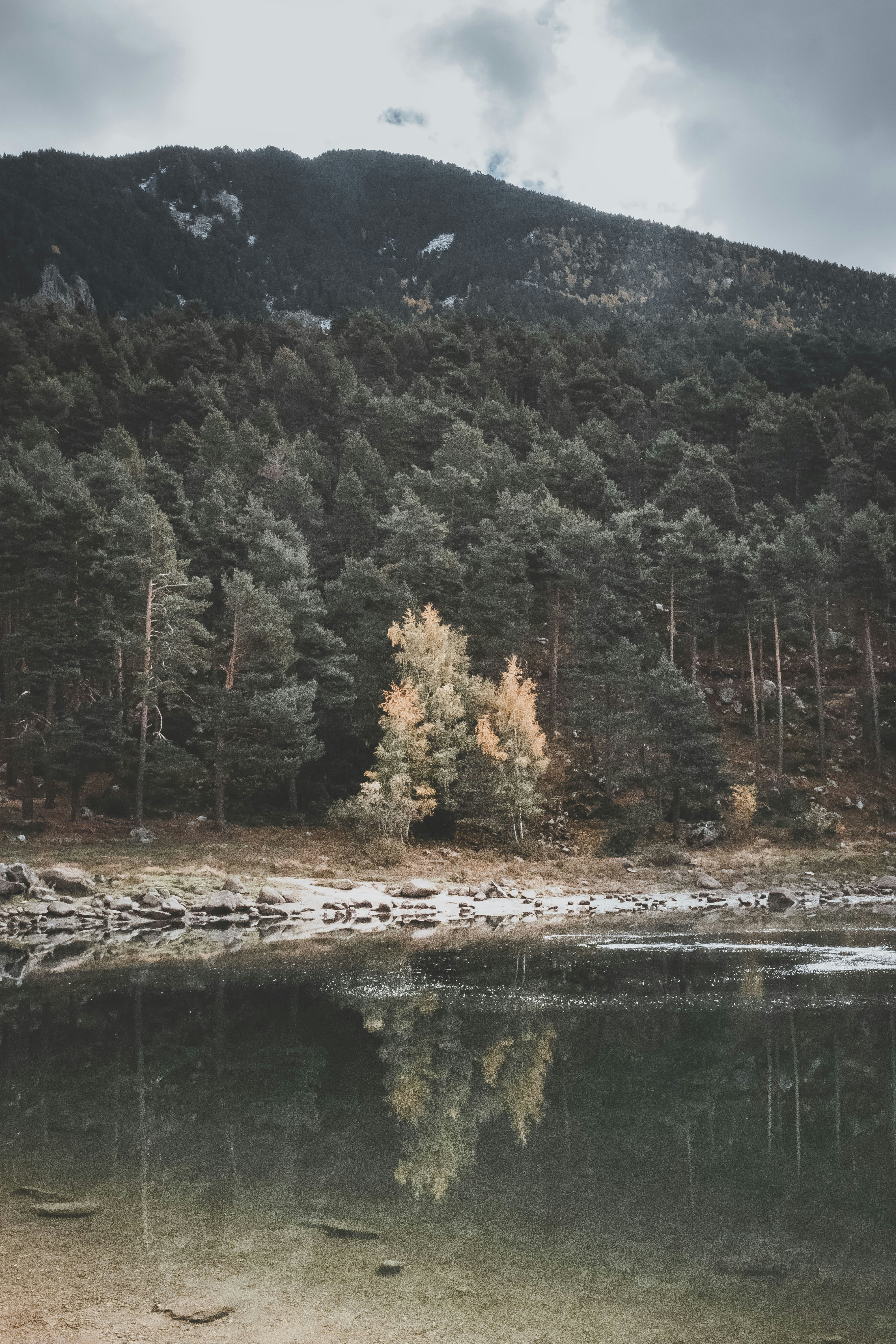 Photo by absolutocaos