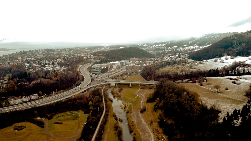 Vista aérea de árboles verdes y carretera durante el día