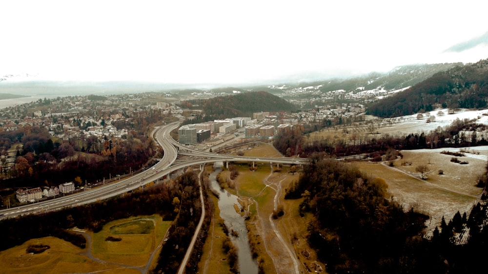 aerial view of green trees and road during daytime