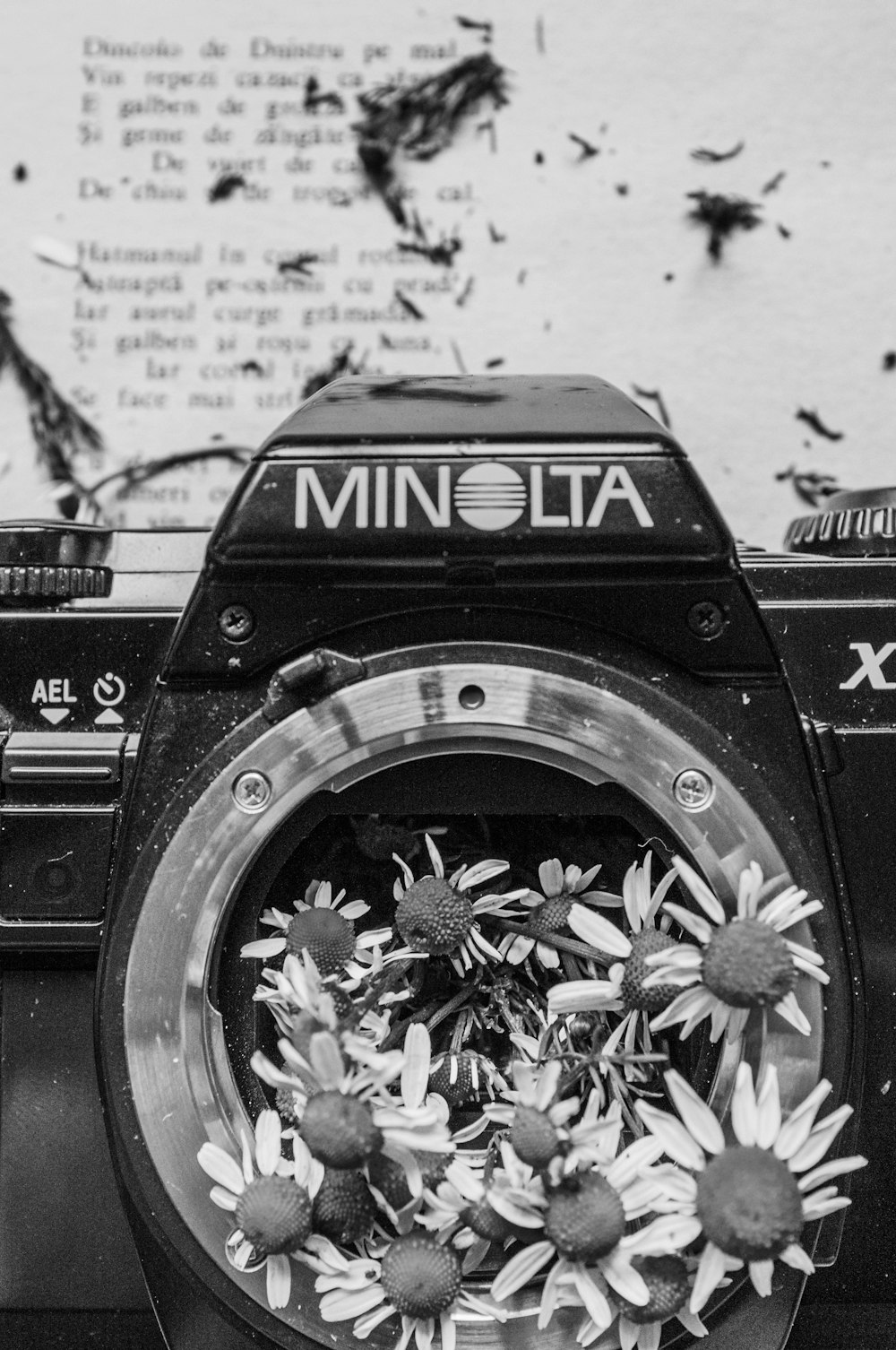 grayscale photo of nikon dslr camera