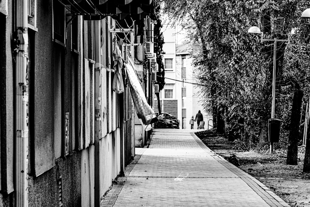 Photo en niveaux de gris d’un sentier entre les arbres