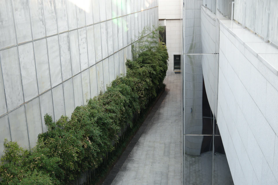 Long, narrow hallway with white walls and lush green plants lining its concrete floor
