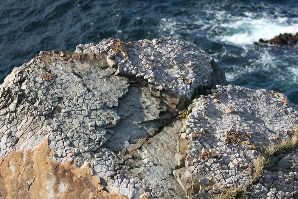 gray rock formation near body of water during daytime