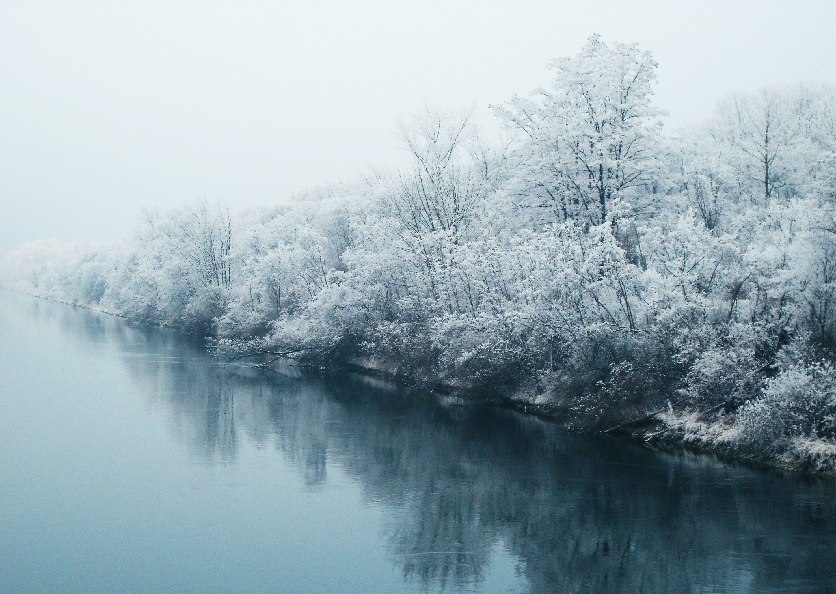 Photo by michaelkroul