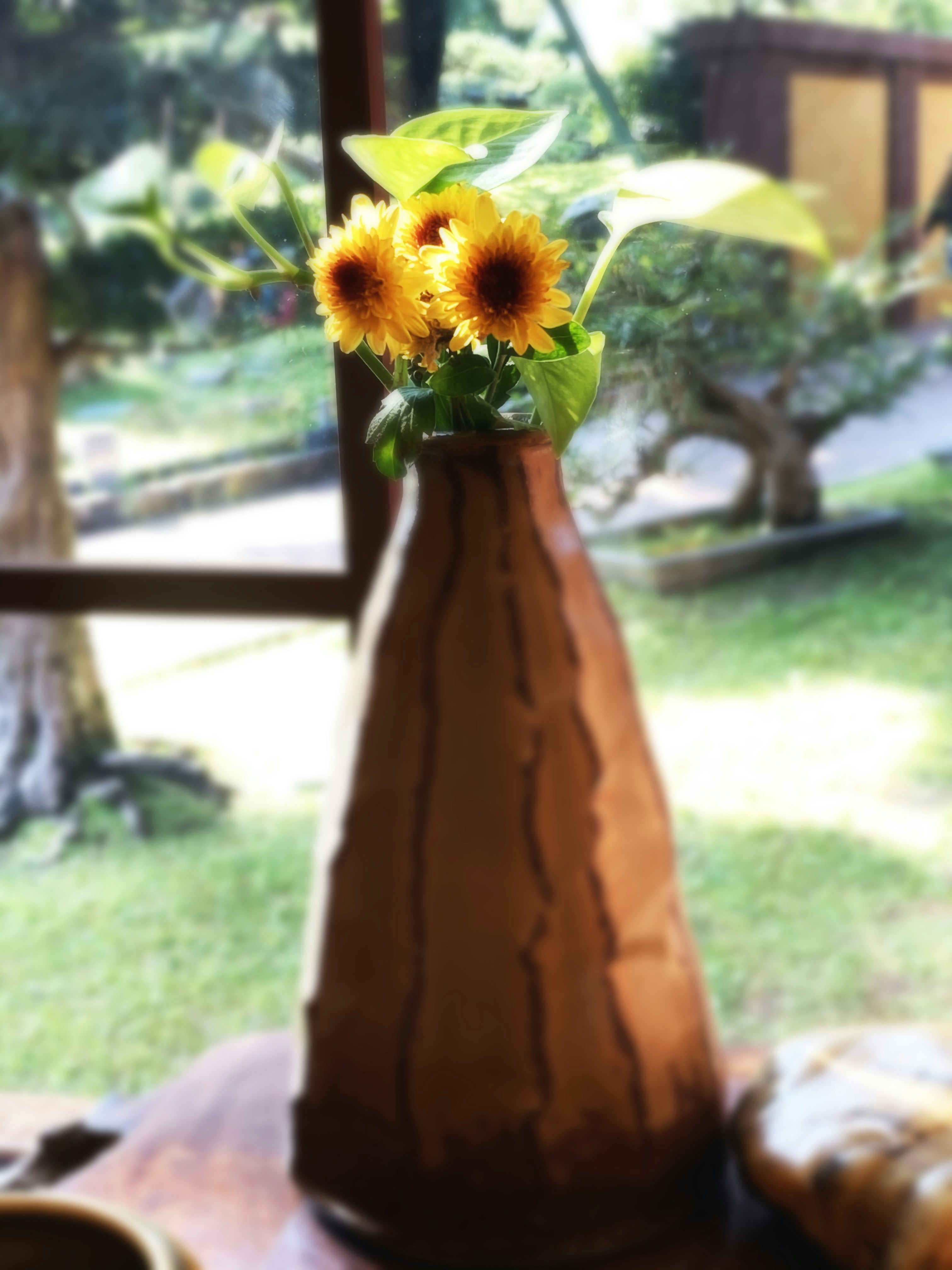 Vibrant yellow sunflowers in a rustic vase, warm golden afternoon light, bright open background